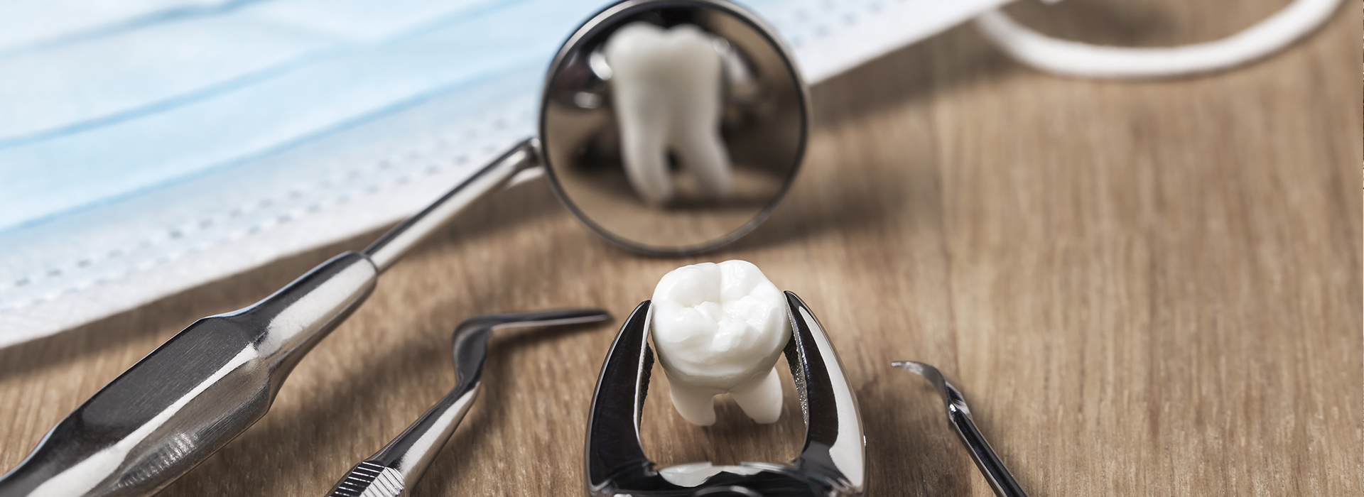 Scott E. Learn, DMD | Pediatric Dentistry, Dental Fillings and Digital Impressions