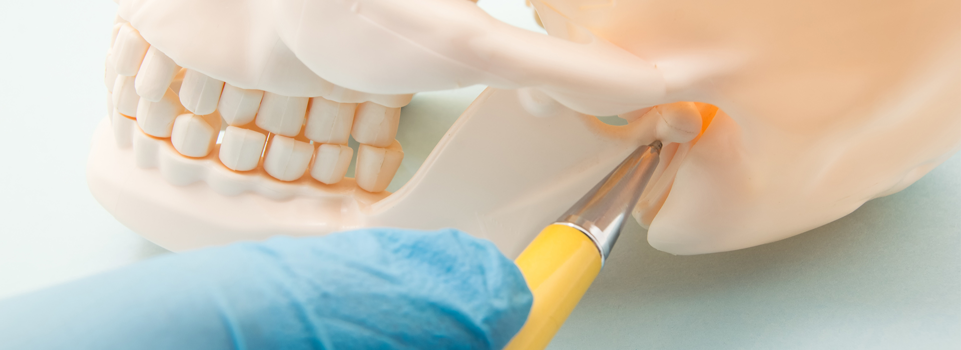 Scott E. Learn, DMD | Dentures, All-on-4 reg  and Intraoral Camera